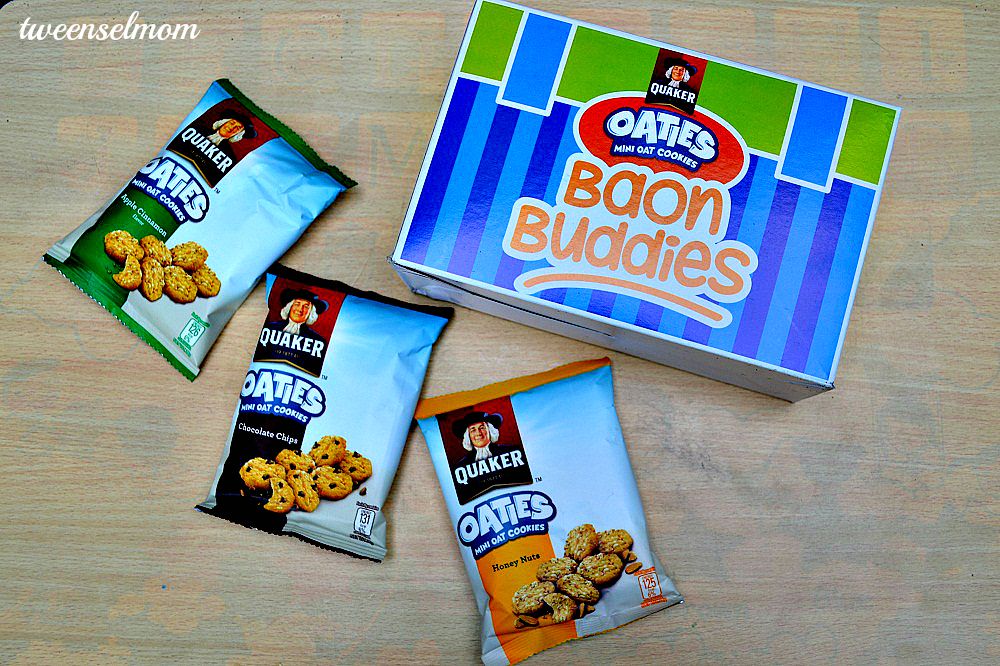 where to buy breaktime oatmeal cookies