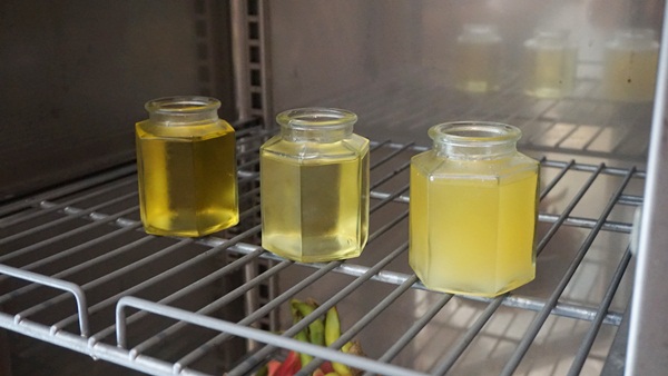 One of the tests done at the moms meet-up - which brand of vegetable oil will solidify first? A good quality oil should not solidify quickly. -- Claro Palm Oil