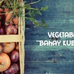 Vegetables In “Bahay Kubo” Song