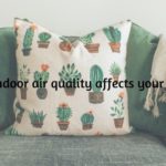 Your Living Environment: How Does Indoor Air Quality Affect Your Health?