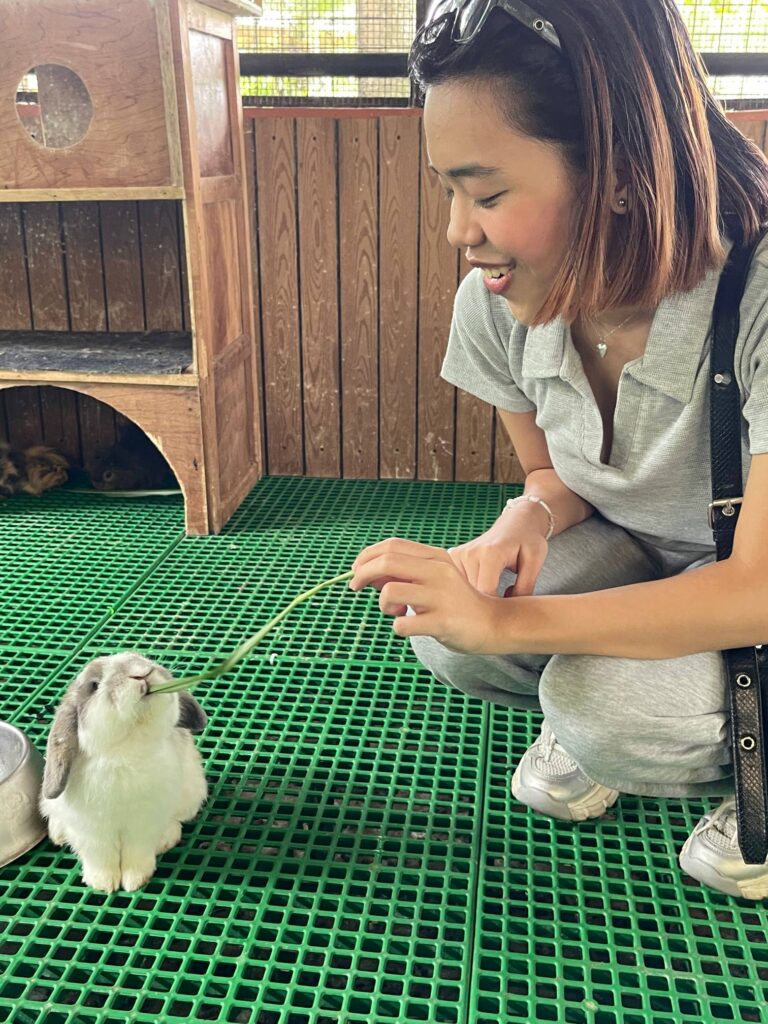 feeding rabbits