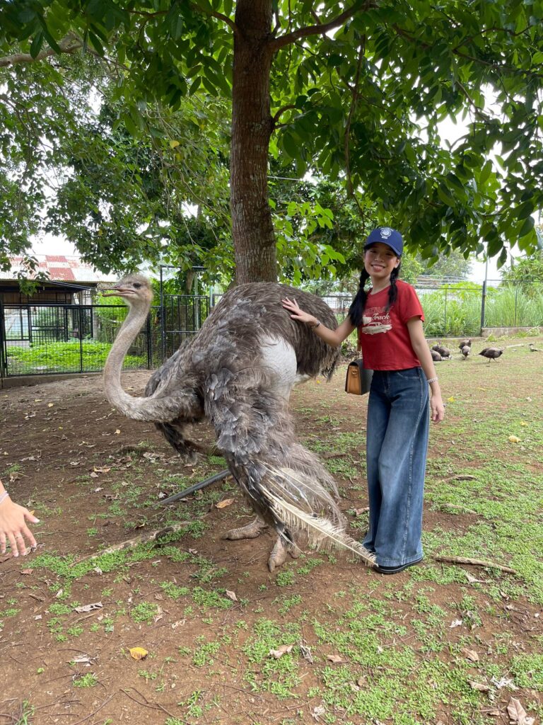 we can freely interact with the ostrich